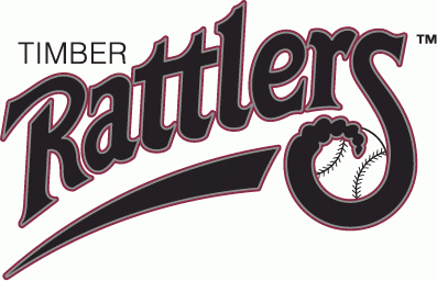 Wisconsin Timber Rattlers 1995-2010 primary logo iron on heat transfer